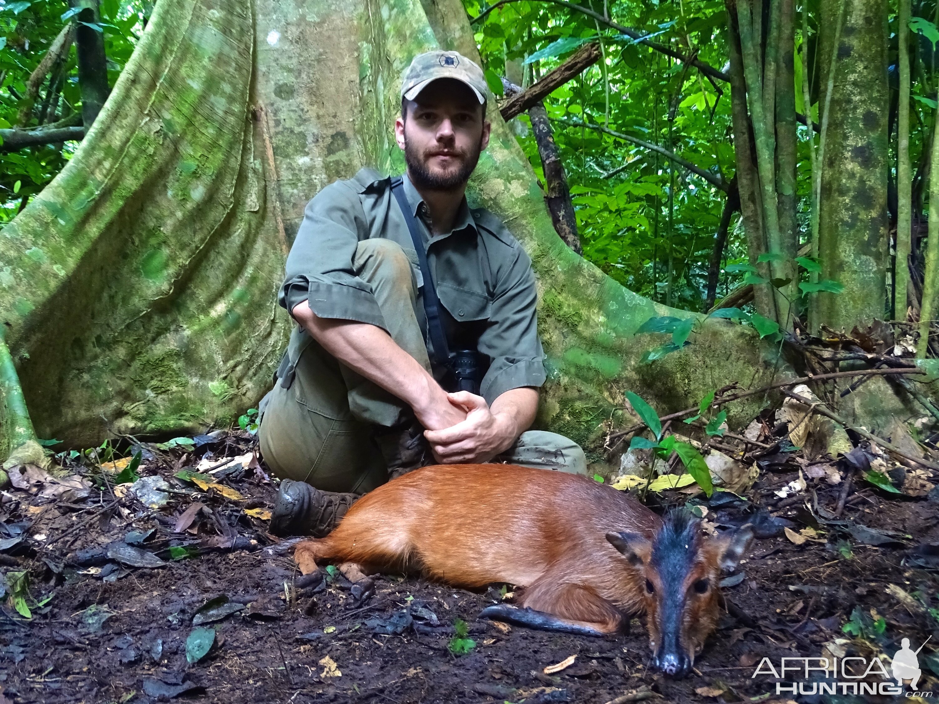 Hunt Congo Black Fronted Duiker