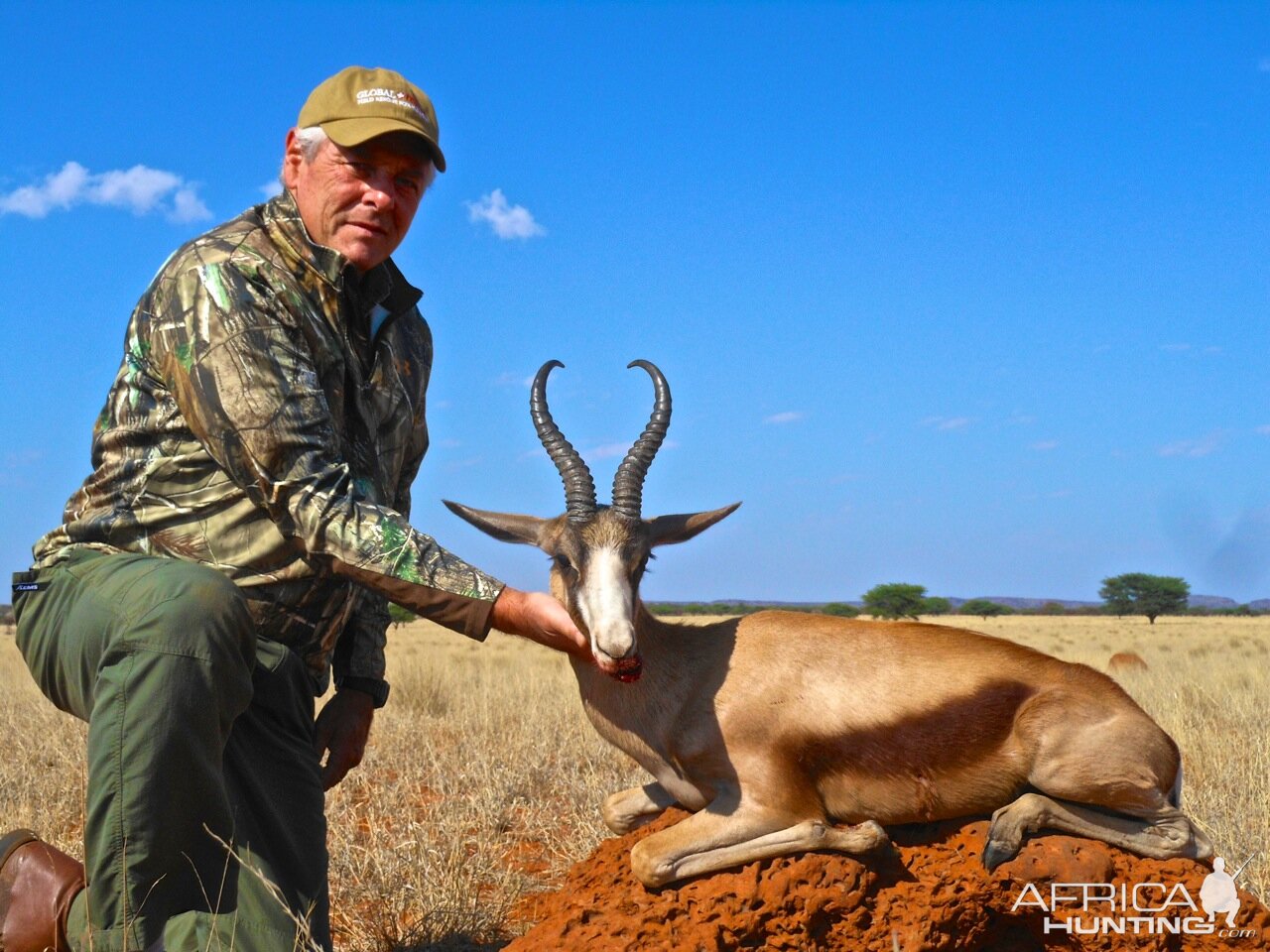 Hunt Copper Springbok