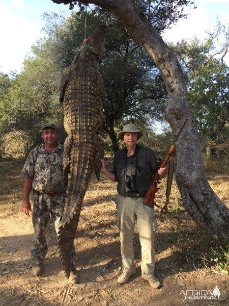 Hunt Crocodile in South Africa