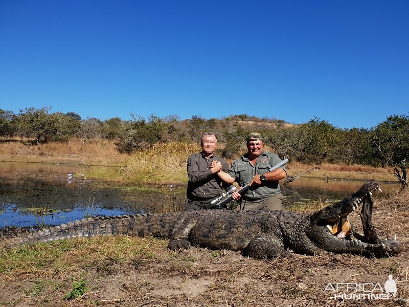 Hunt Crocodile in South Africa