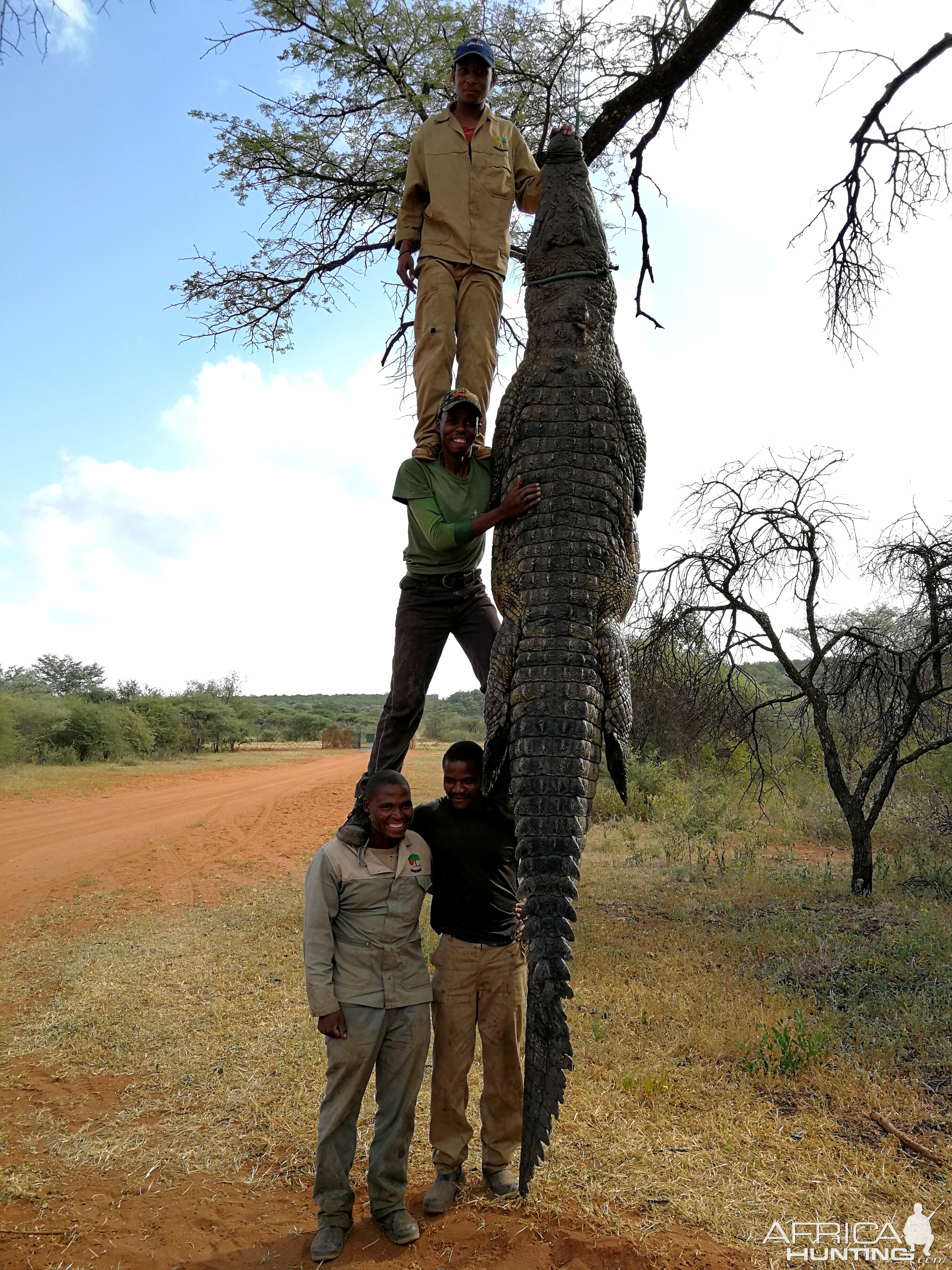 Hunt Crocodile in South Africa