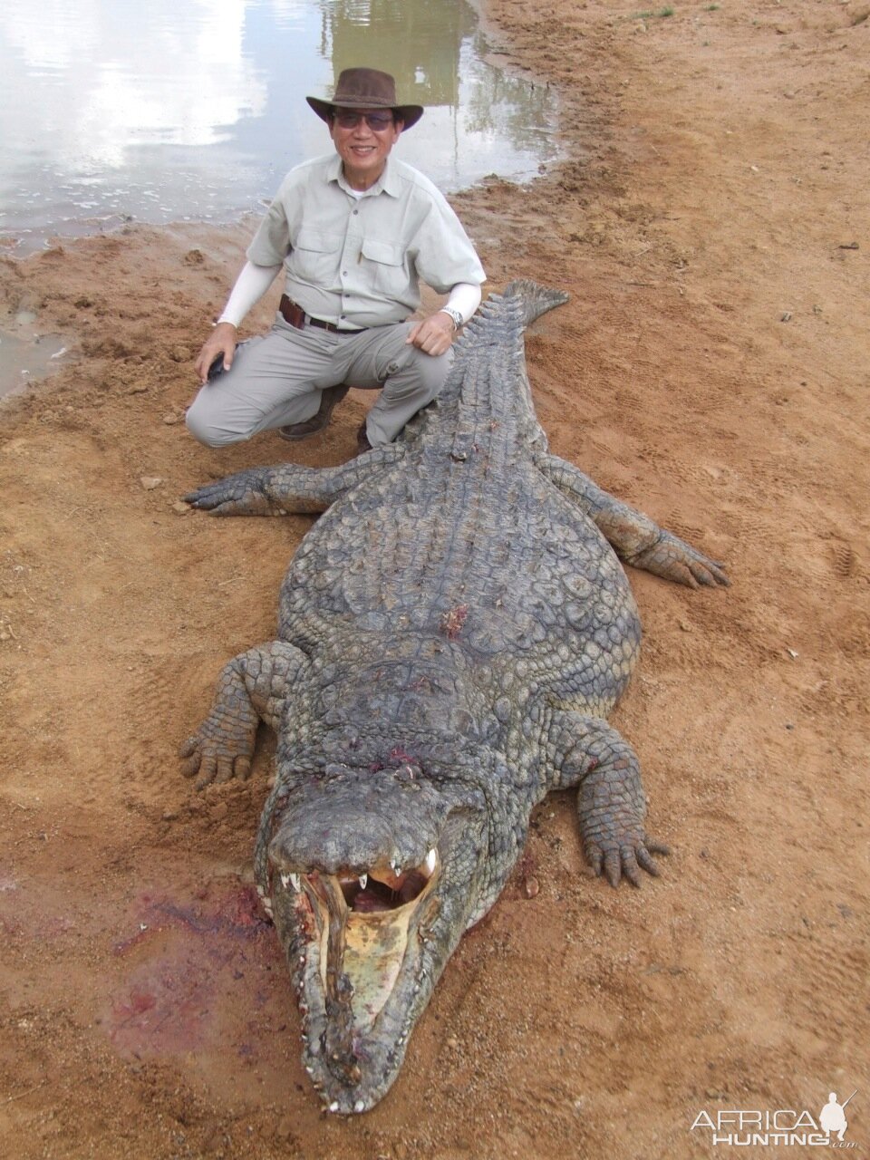 Hunt Crocodile