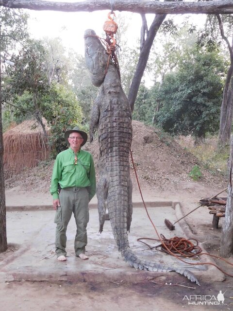 Hunt Crocodile