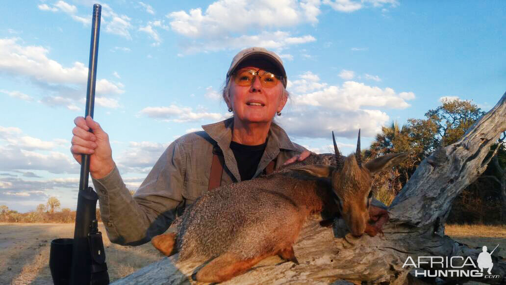 Hunt Damara Dik Dik in Namibia