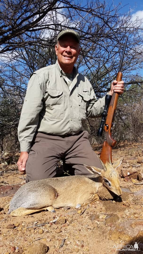 Hunt Damara Dik-dik in Namibia