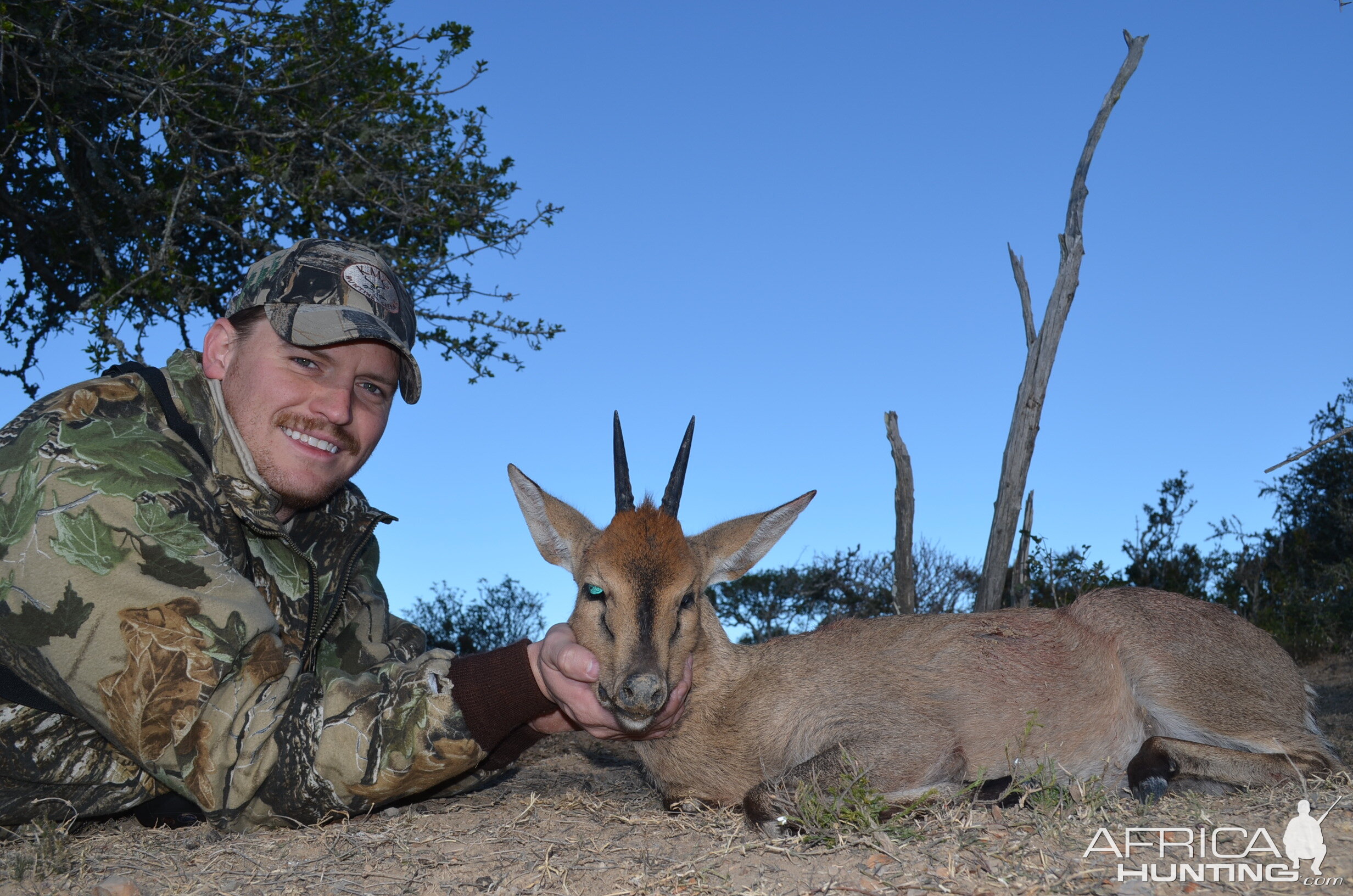 Hunt Duiker in South Africa