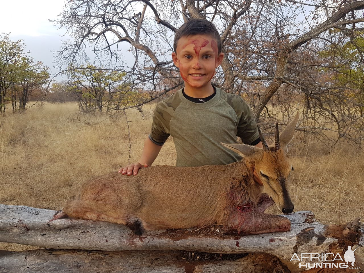 Hunt Duiker in South Africa