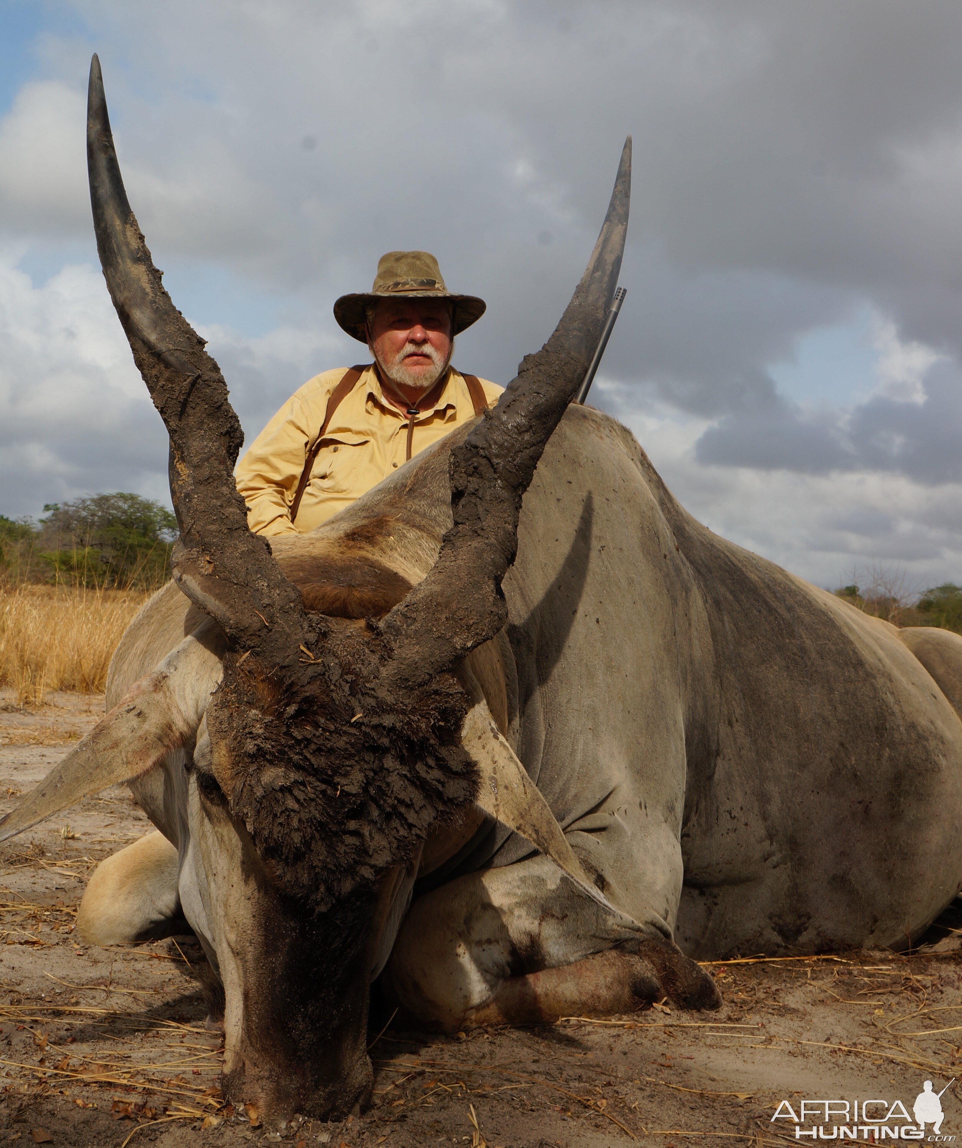 Hunt East African Eland Selous Tanzania