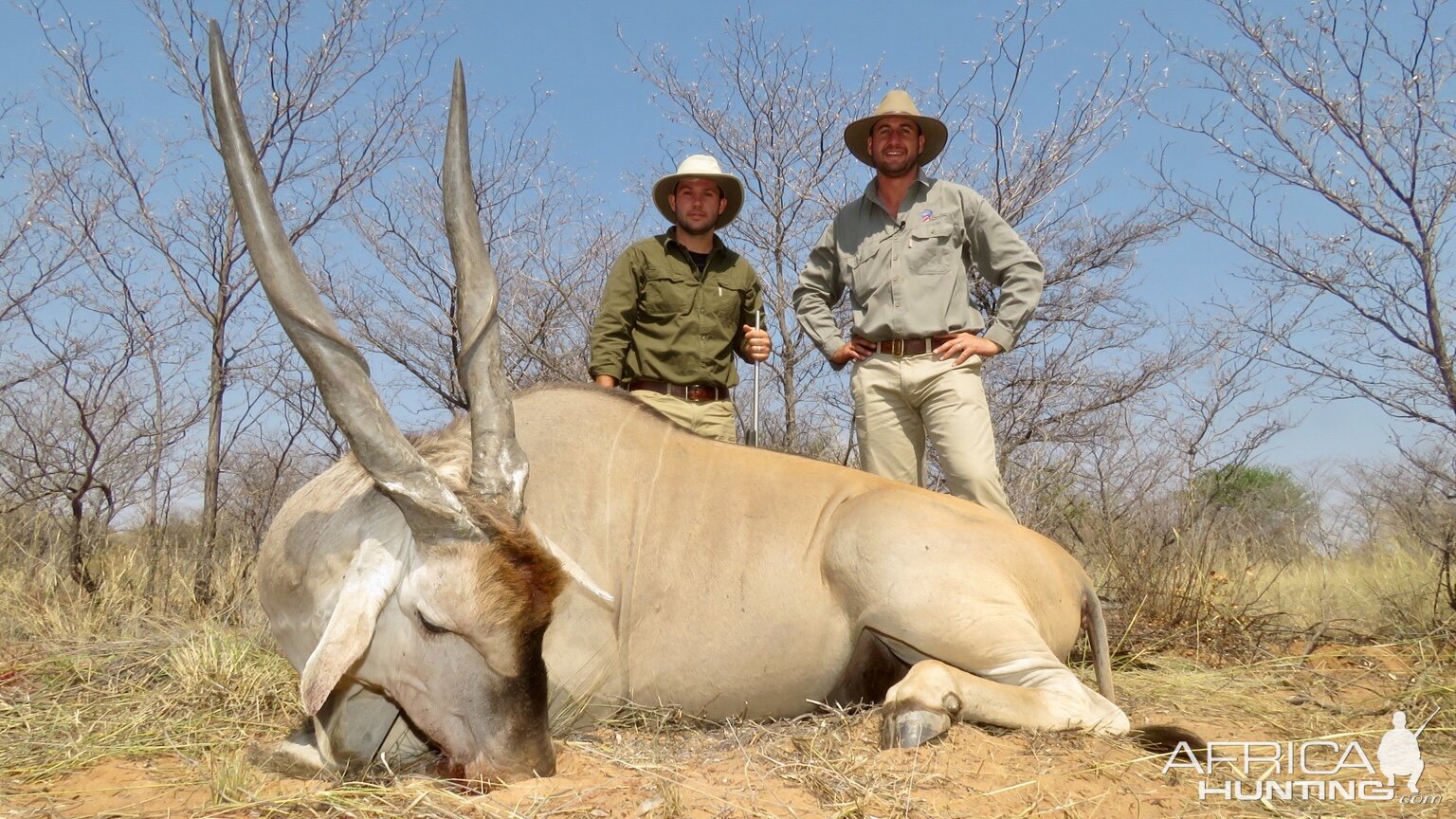 Hunt Eland in Namibia