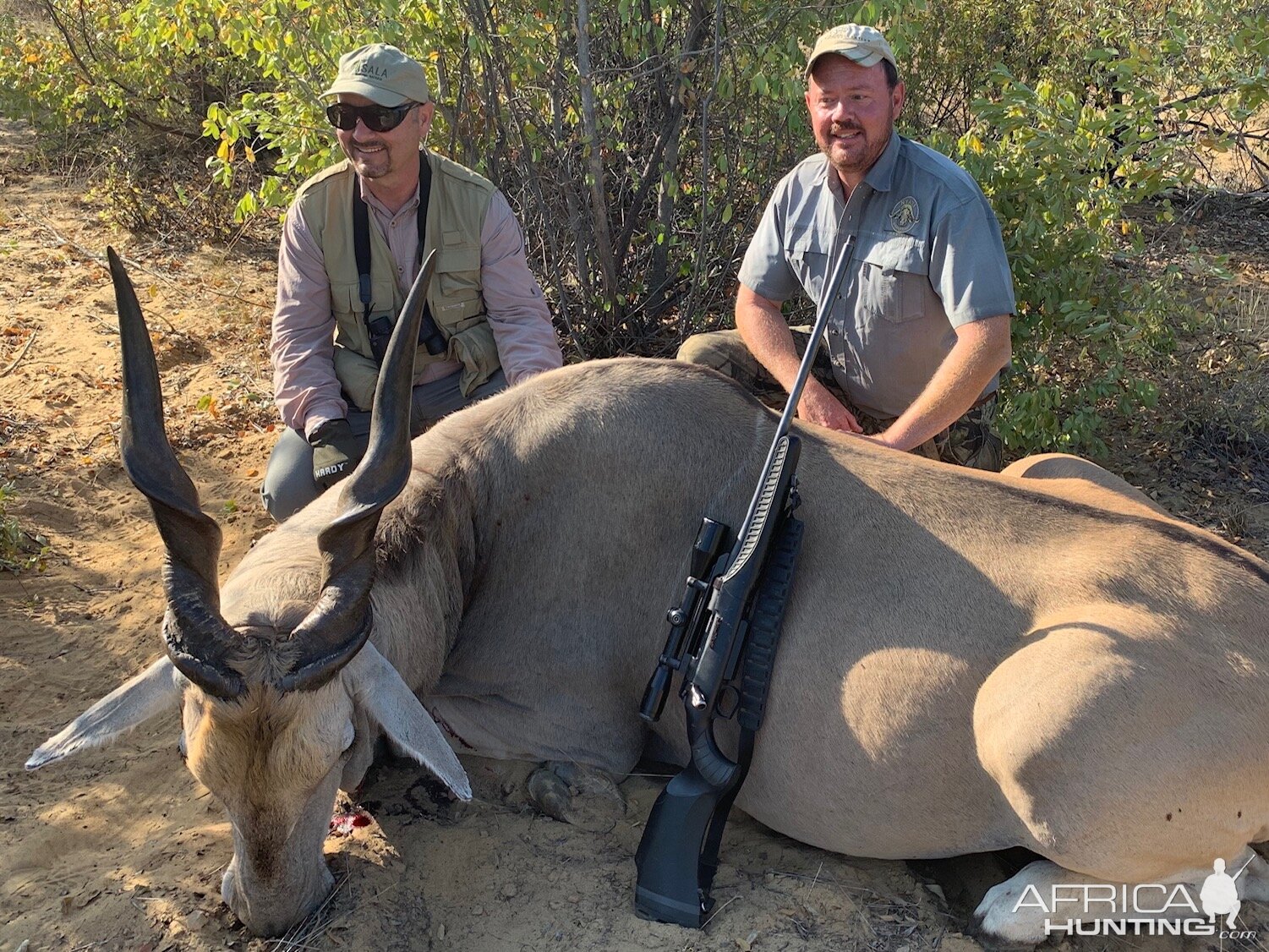 Hunt Eland in Namibia