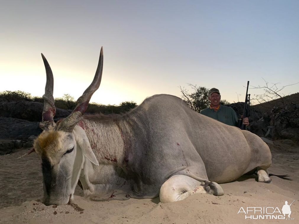 Hunt Eland in Namibia