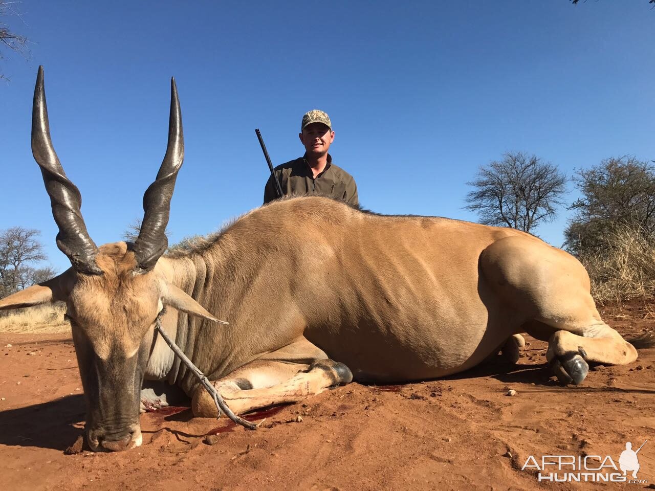 Hunt Eland in South Africa