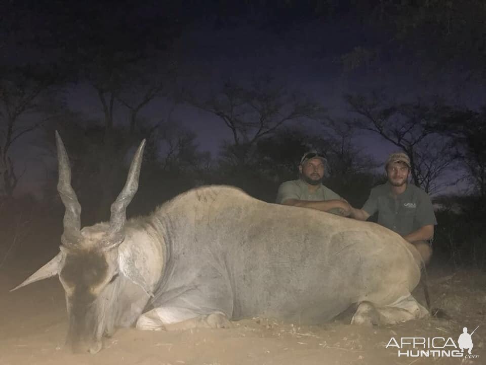 Hunt Eland in South Africa