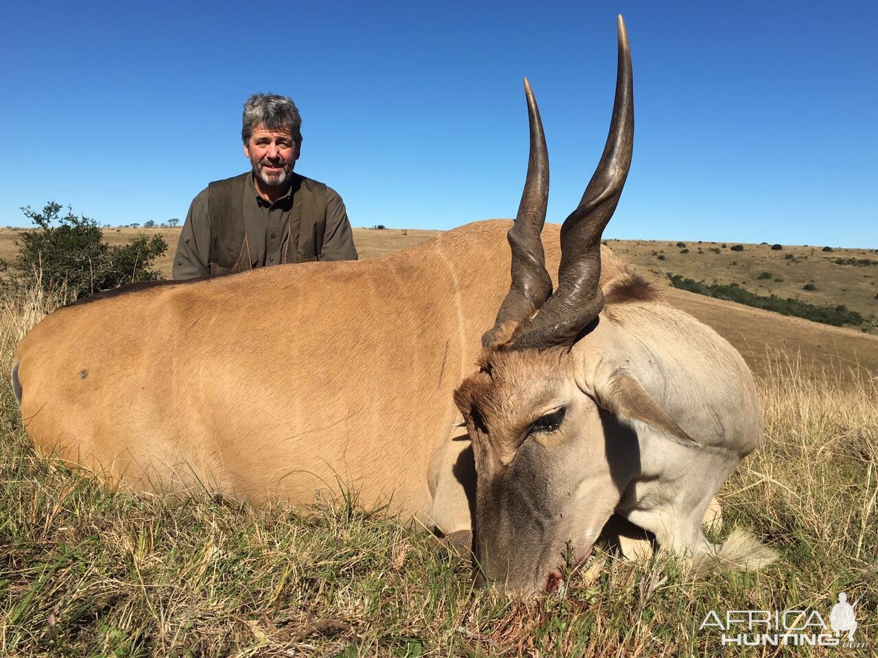 Hunt Eland in South Africa