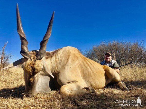 Hunt Eland in South Africa