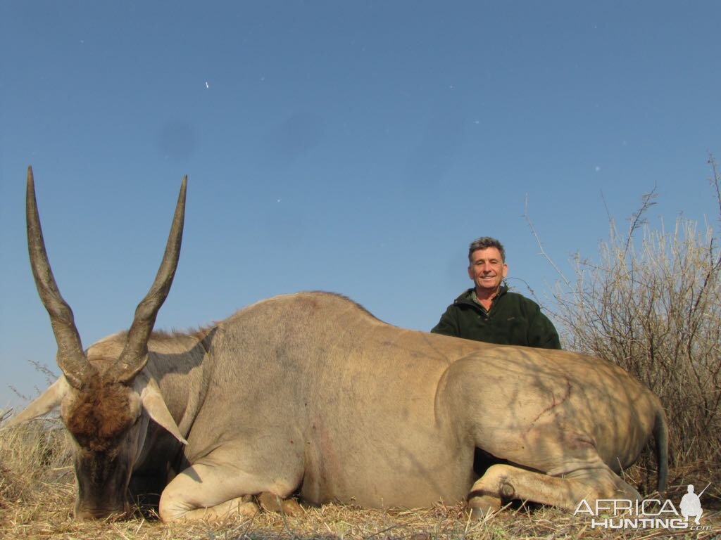 Hunt Eland in South Africa