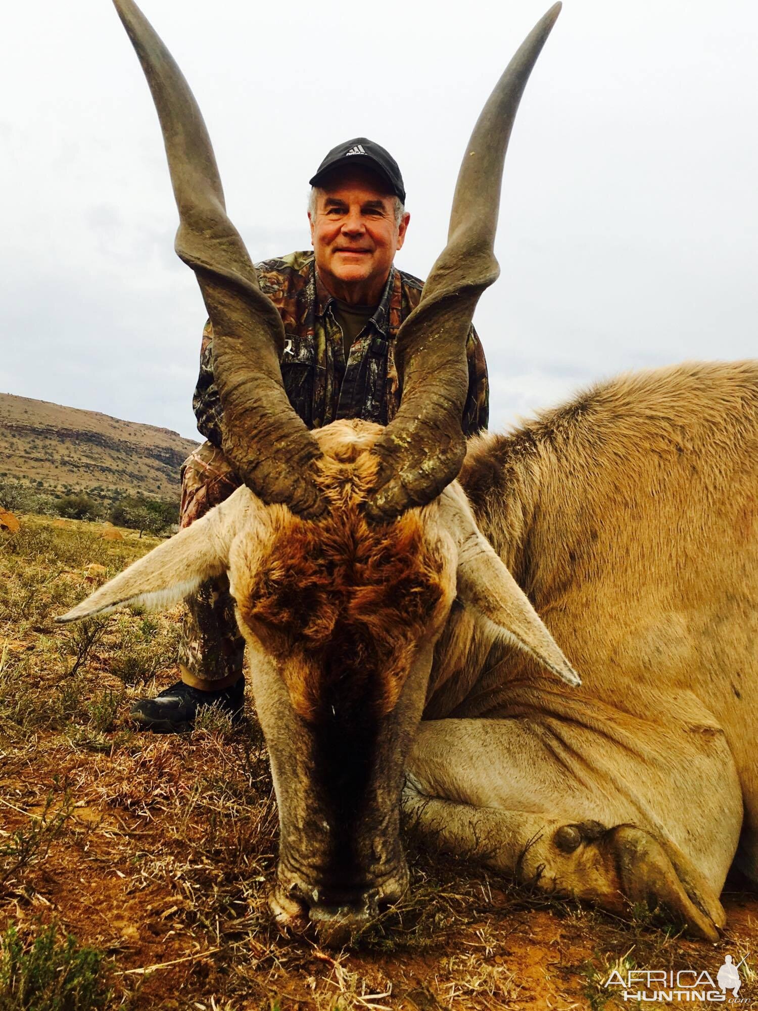 Hunt Eland in South Africa