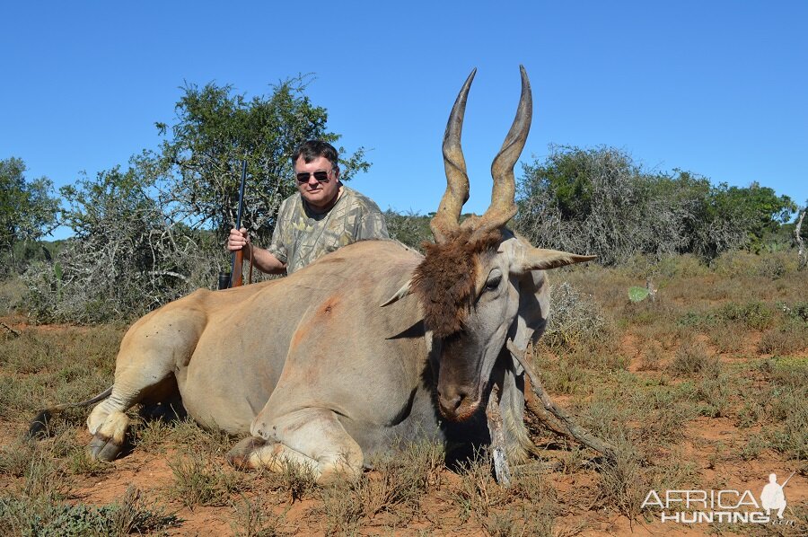 Hunt Eland in South Africa