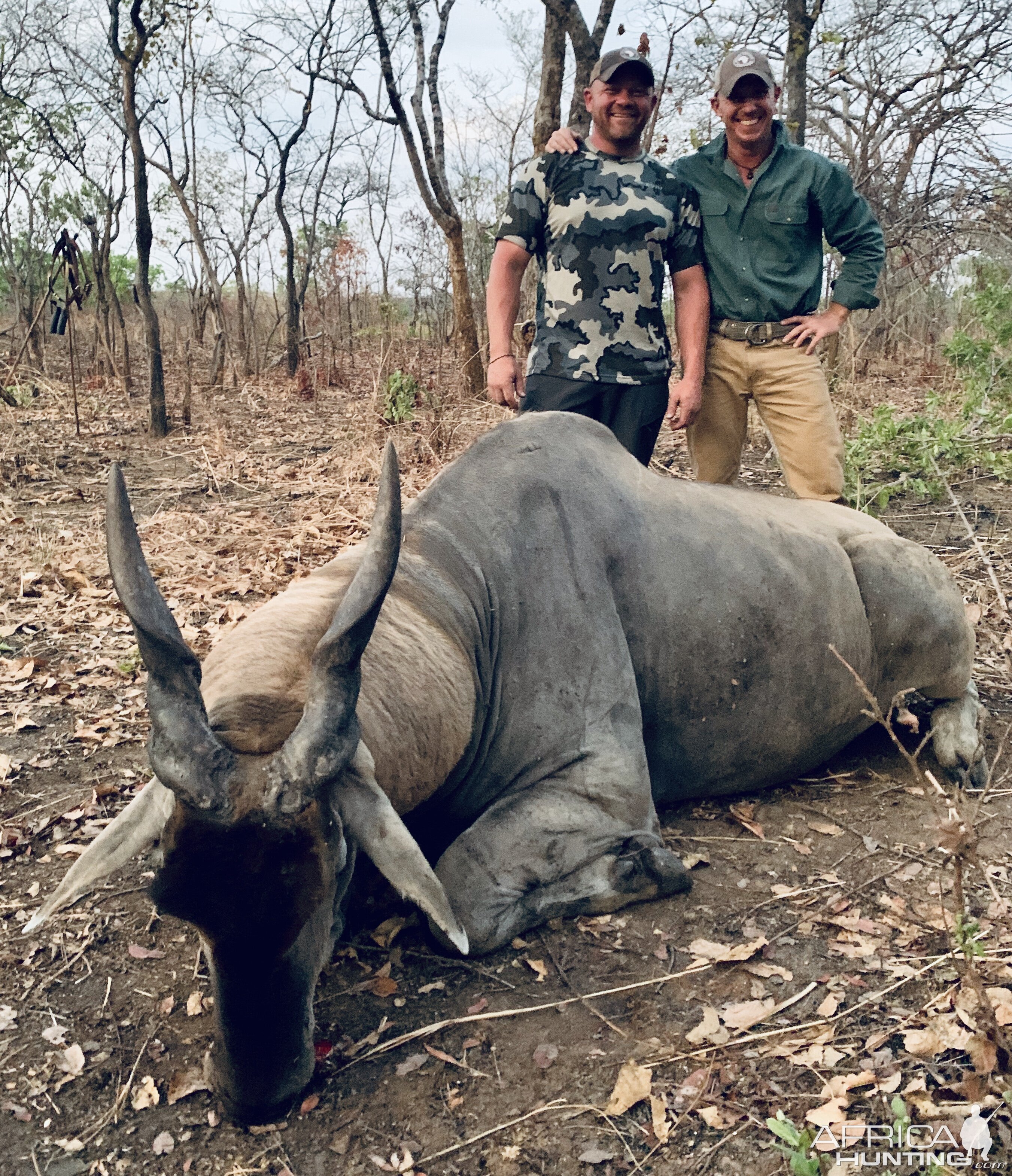 Hunt Eland in Tanzania