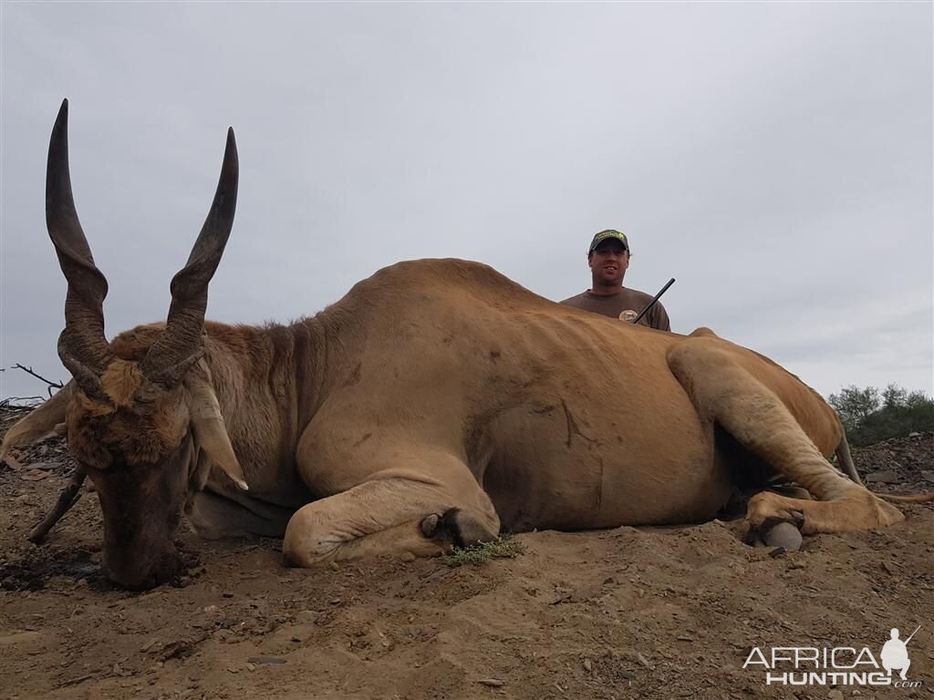 Hunt Eland South Africa