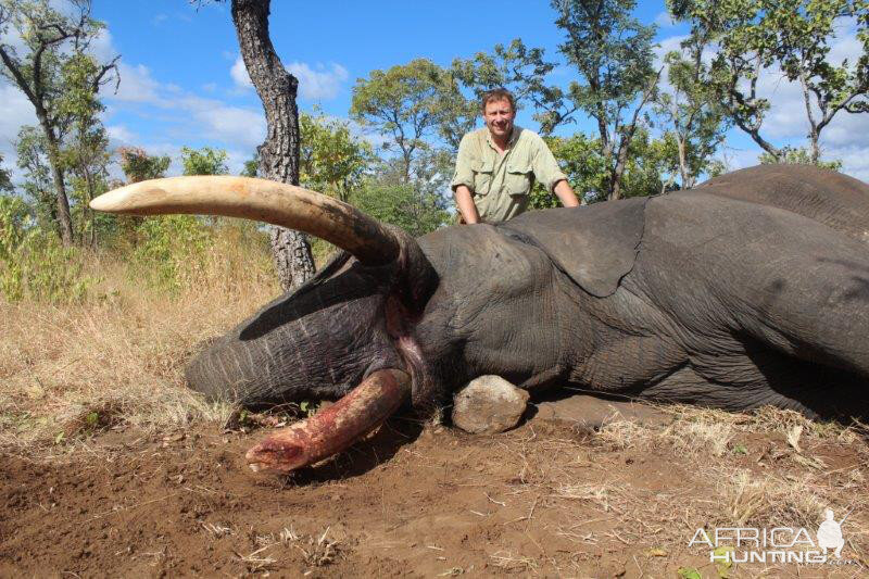 Hunt Elephant in Mozambique