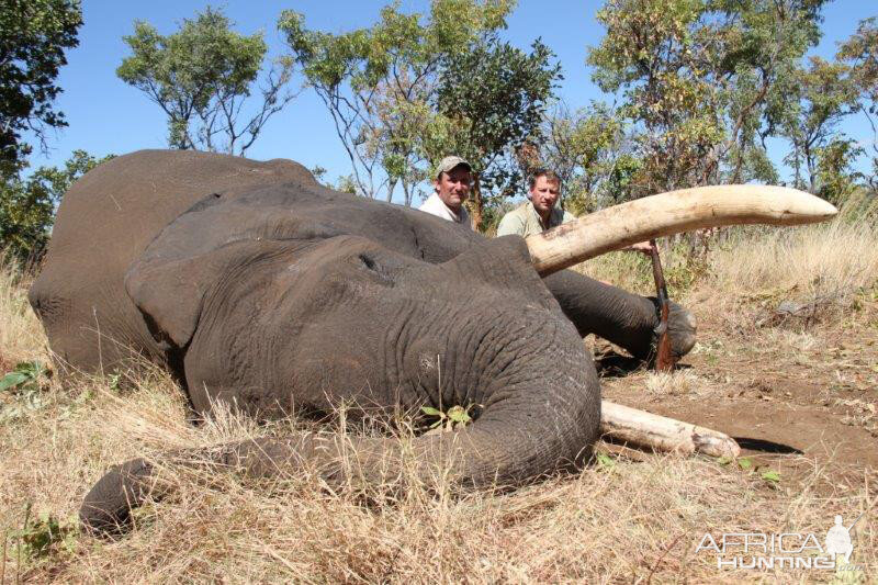 Hunt Elephant in Mozambique