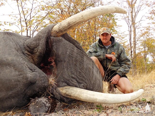 Hunt Elephant in Namibia