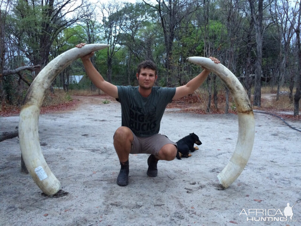 Hunt Elephant in Namibia