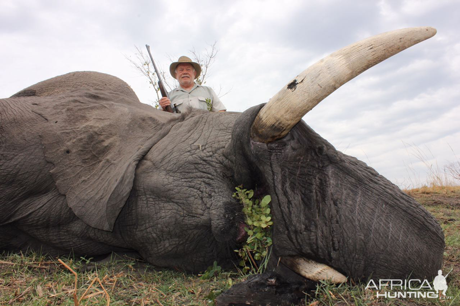 Hunt Elephant in Namibia