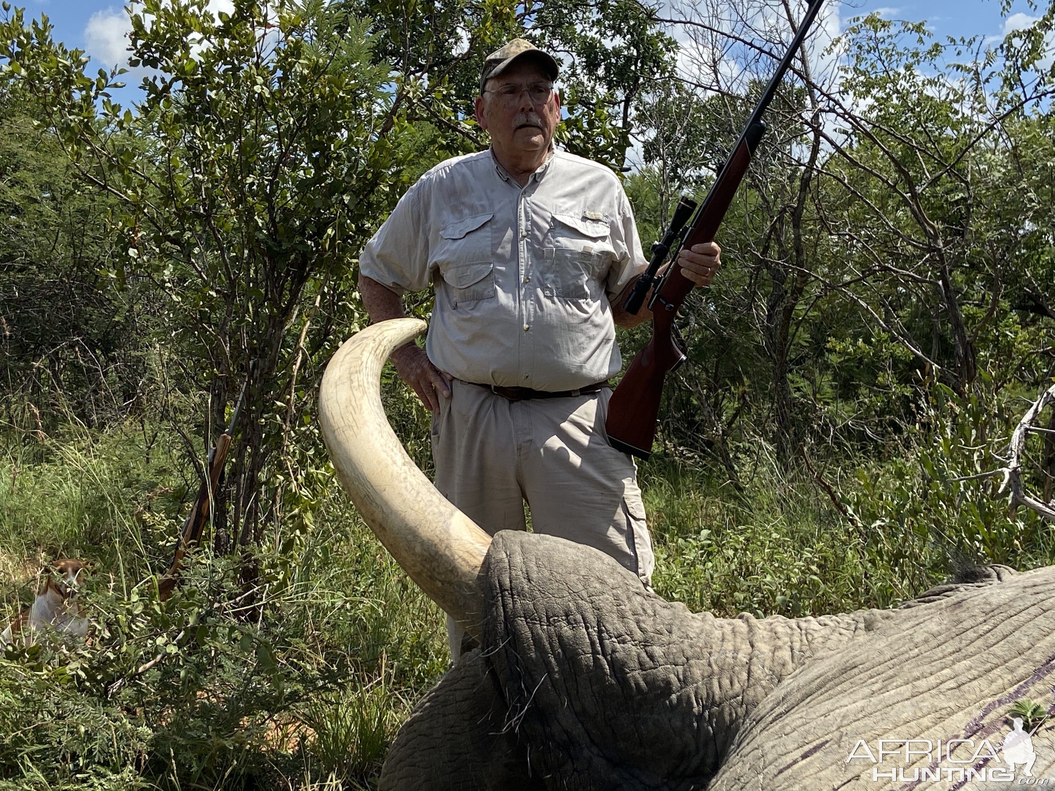 Hunt Elephant in South Africa