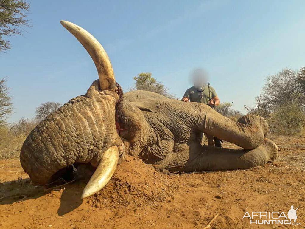 Hunt Elephant in South Africa