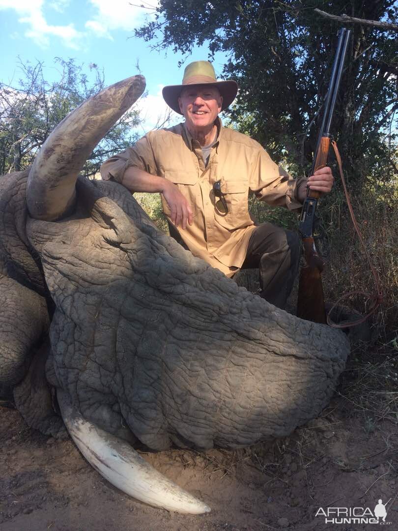 Hunt Elephant in Zimbabwe