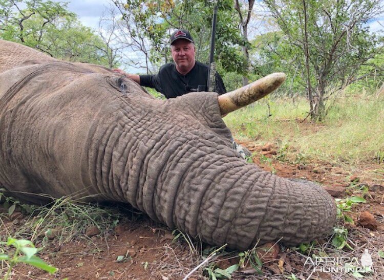 Hunt Elephant in Zimbabwe