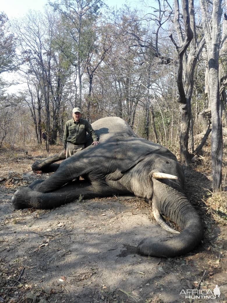 Hunt Elephant in Zimbabwe