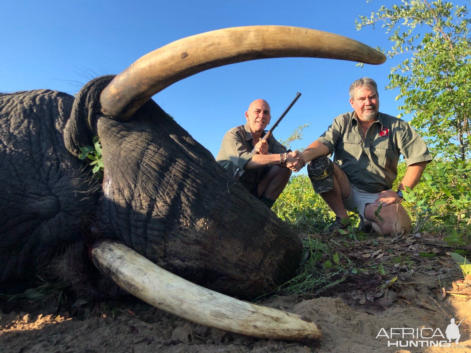 Hunt Elephant in Zimbabwe