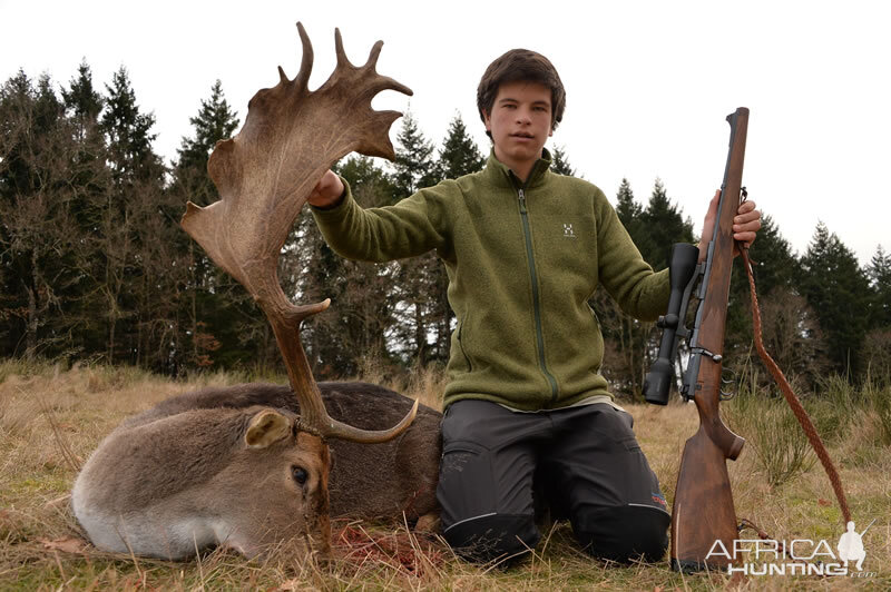 Hunt Fallow Deer France