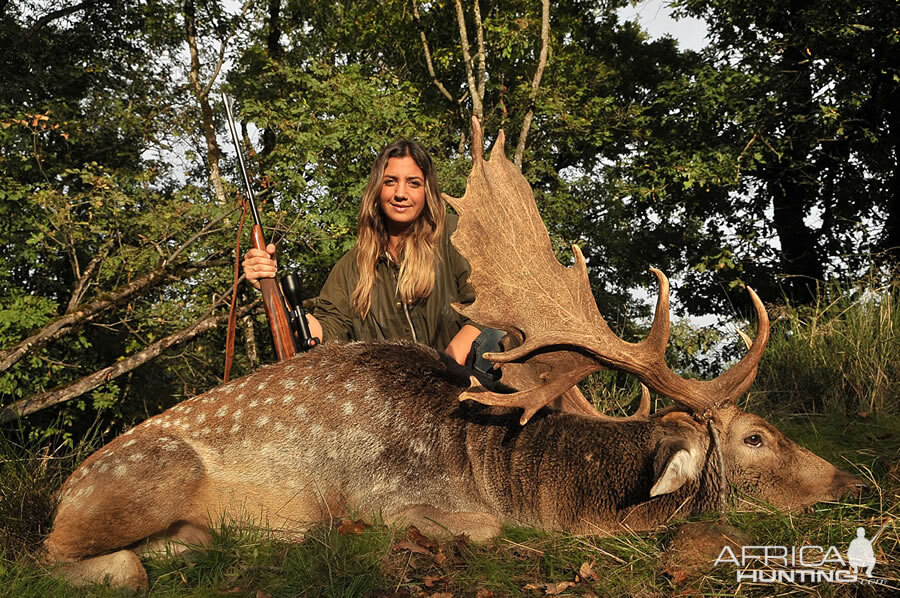 Hunt Fallow Deer France