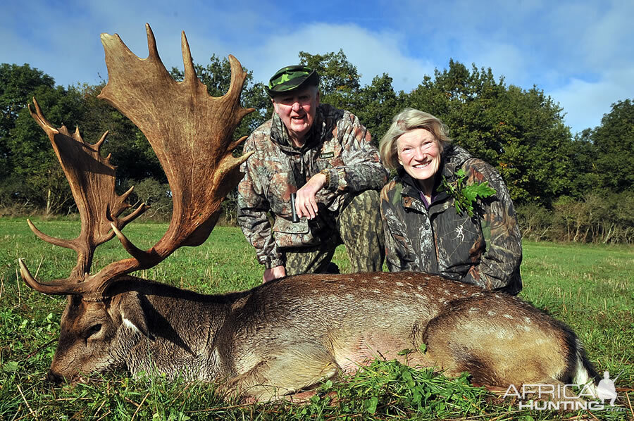 Hunt Fallow Deer France