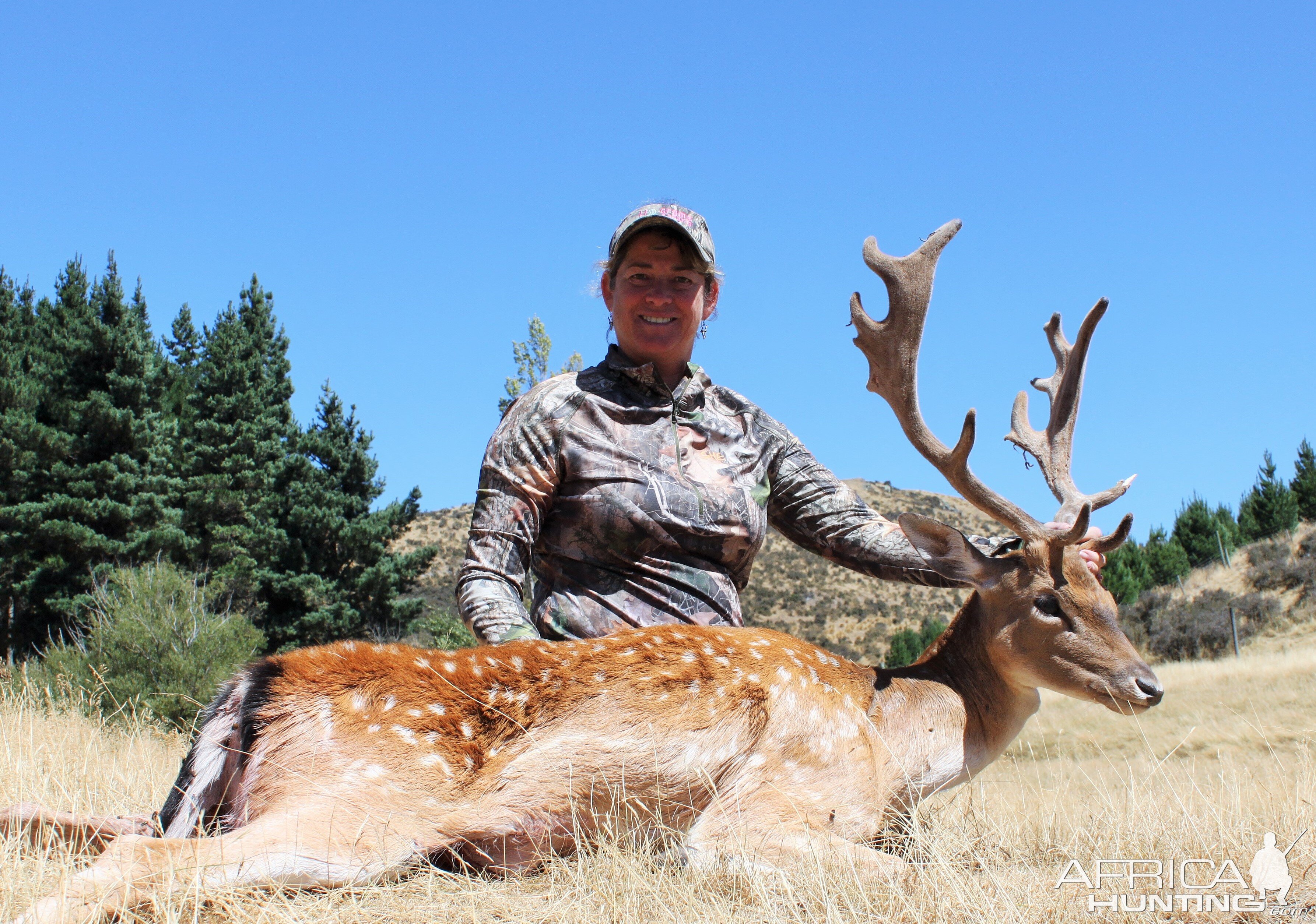 Hunt Fallow Deer in New Zealand