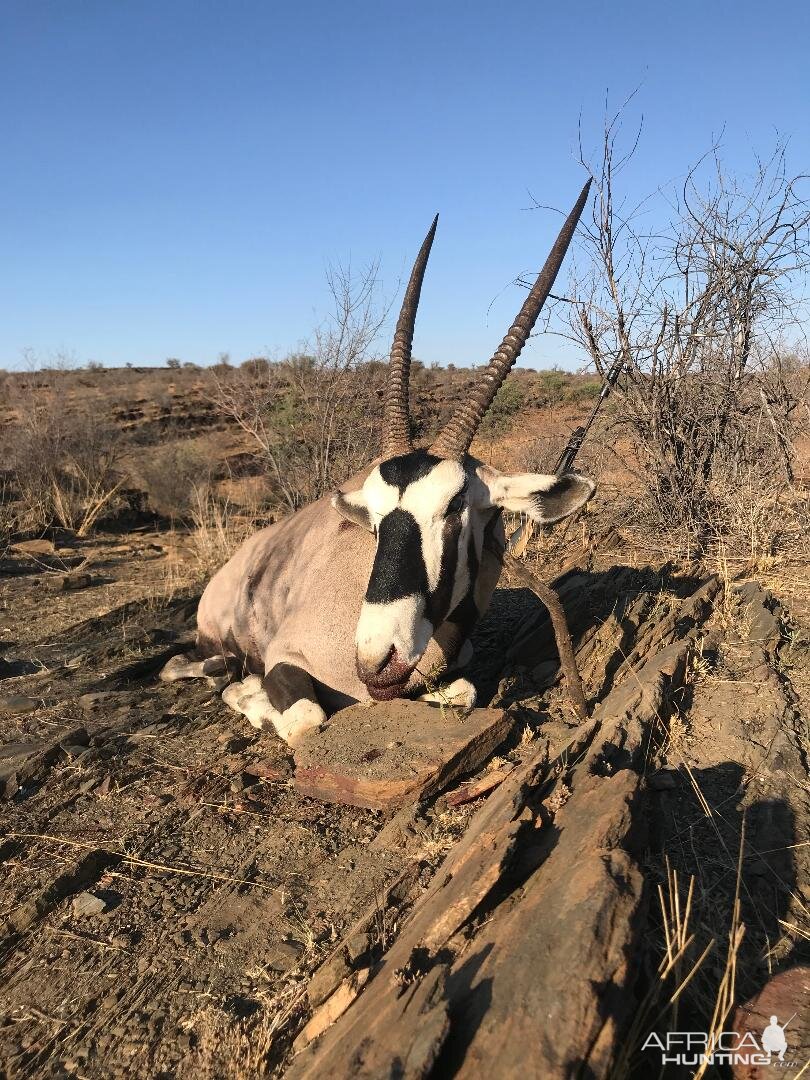 Hunt Gemsbok in Namibia