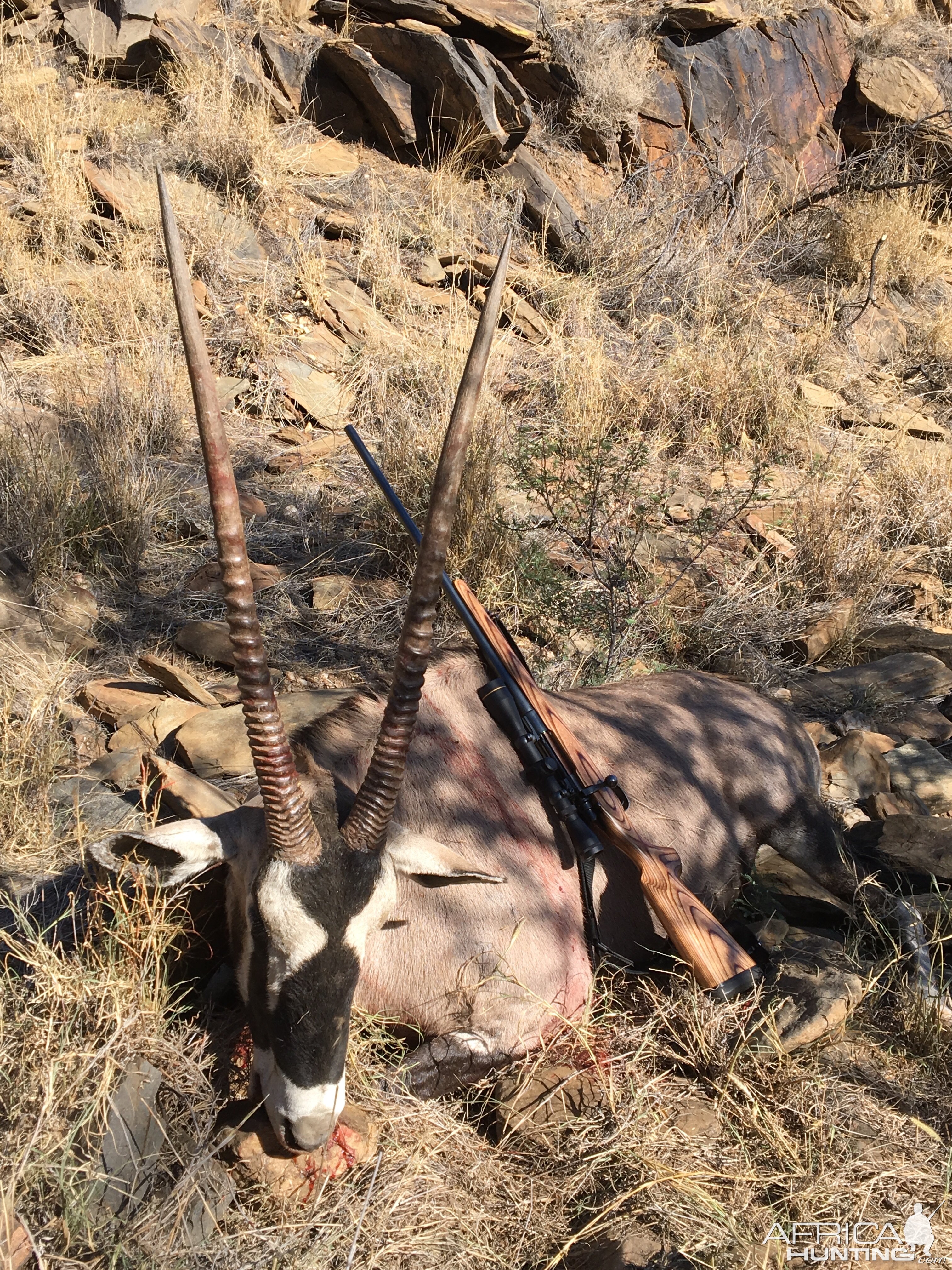 Hunt Gemsbok in Namibia