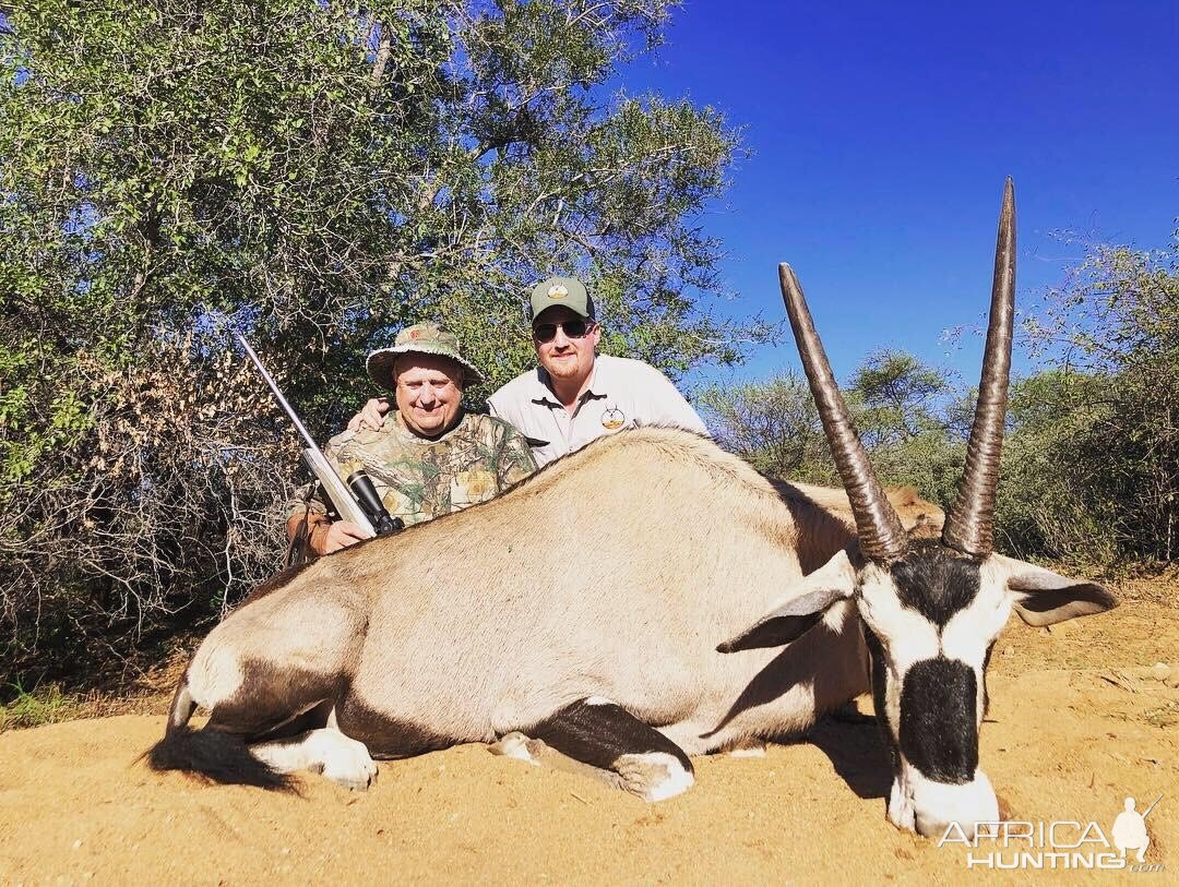 Hunt Gemsbok in South Africa