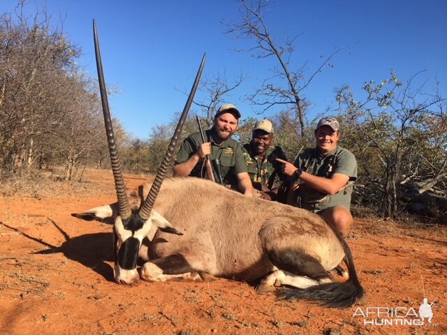 Hunt Gemsbok in South Africa