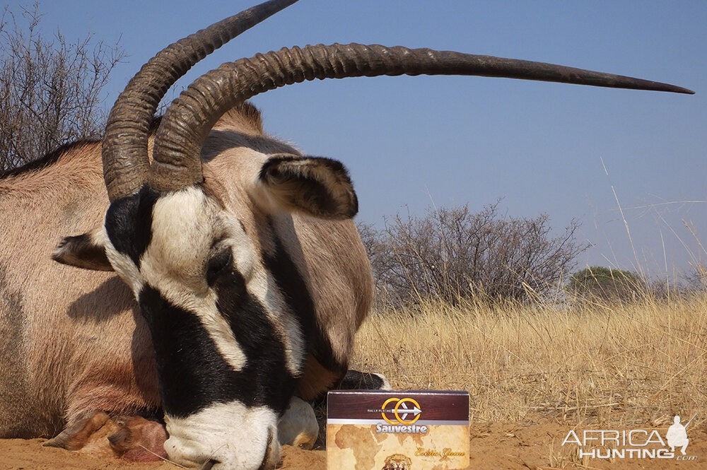 Hunt Gemsbok in South Africa