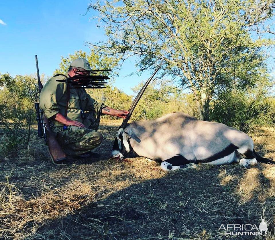 Hunt Gemsbok in South Africa