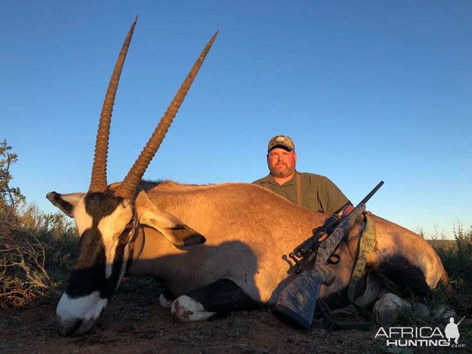 Hunt Gemsbok in South Africa