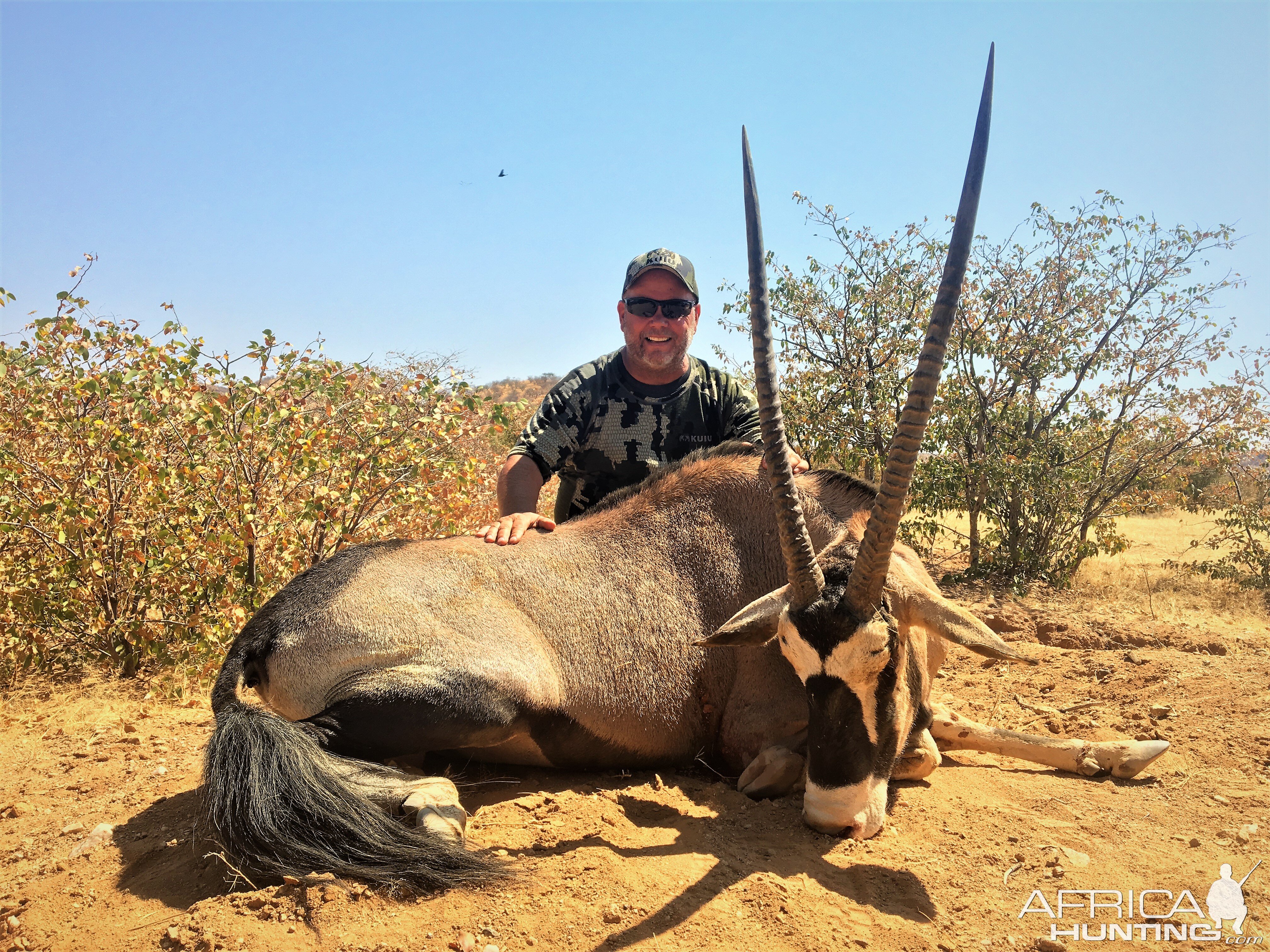 Hunt Gemsbok Namibia