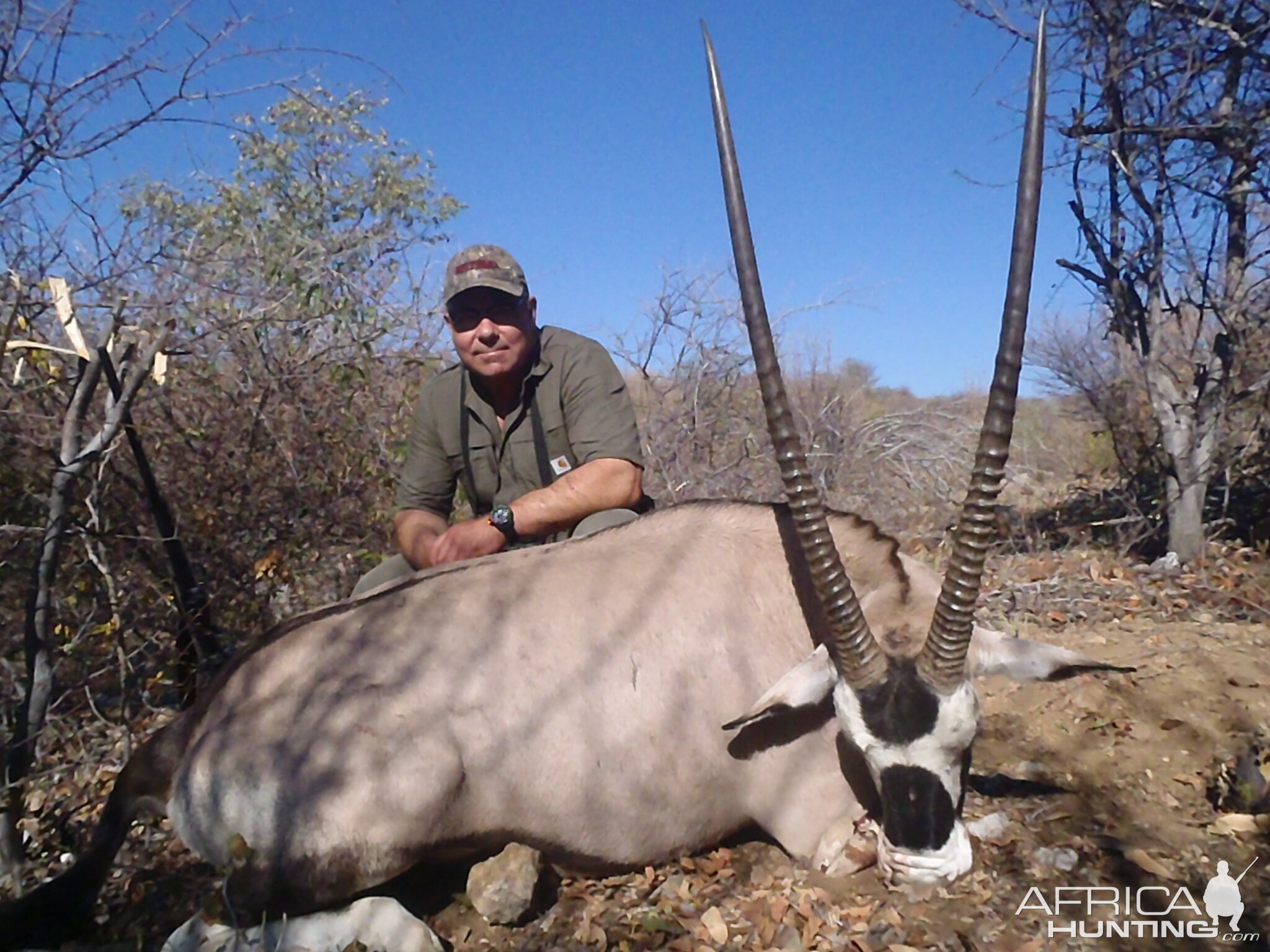 Hunt Gemsbok Namibia