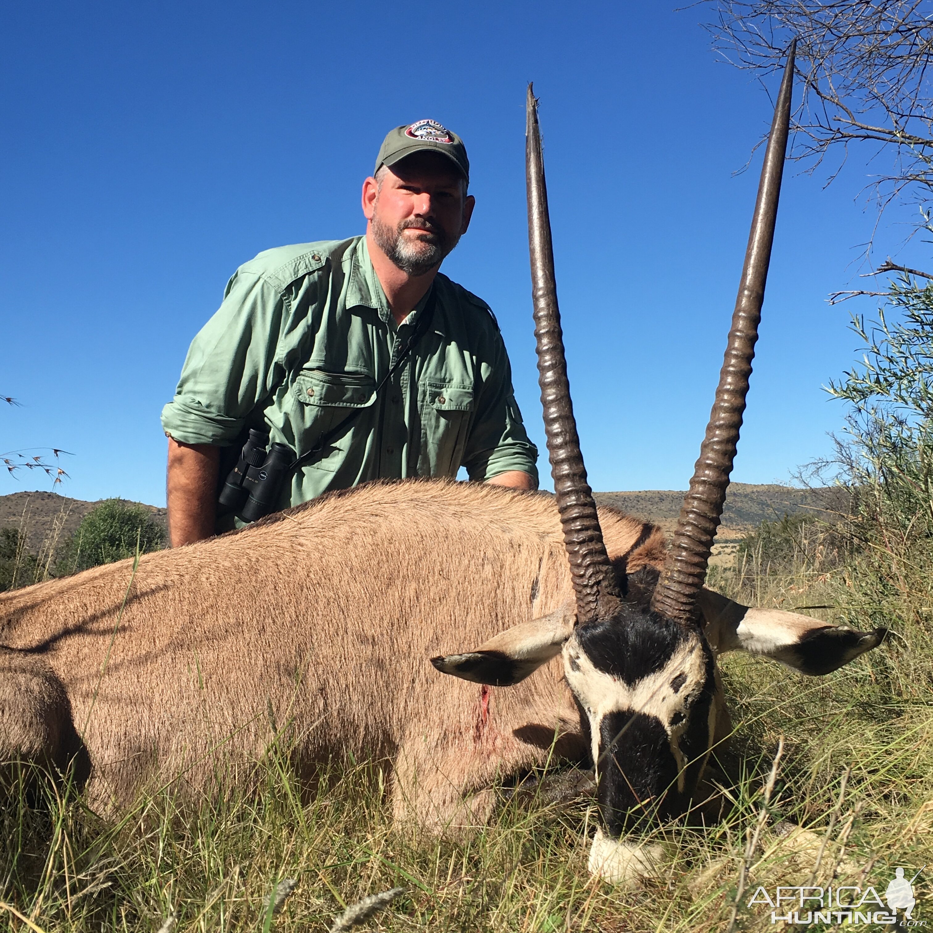 Hunt Gemsbok South Africa