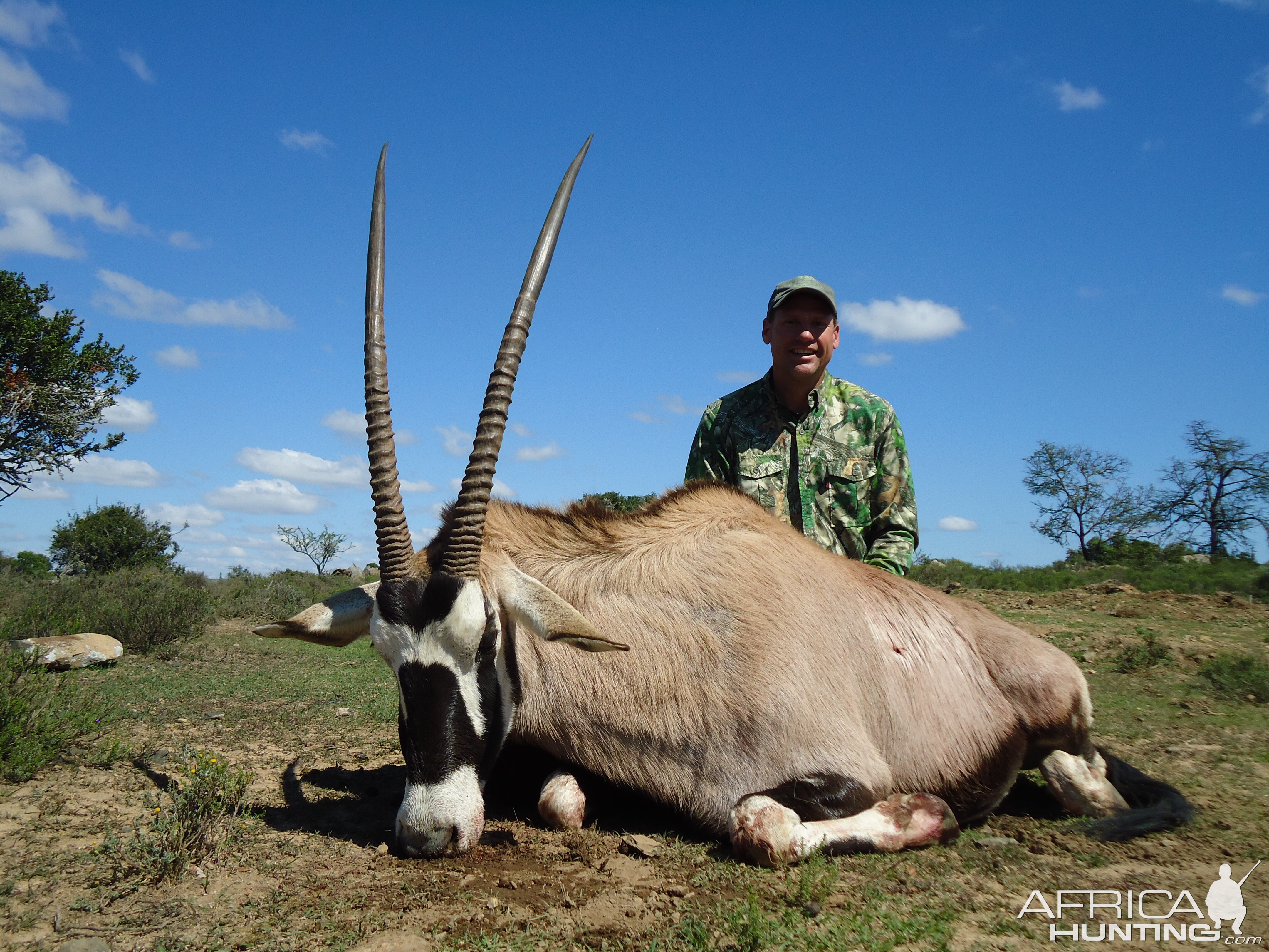 Hunt Gemsbok South Africa